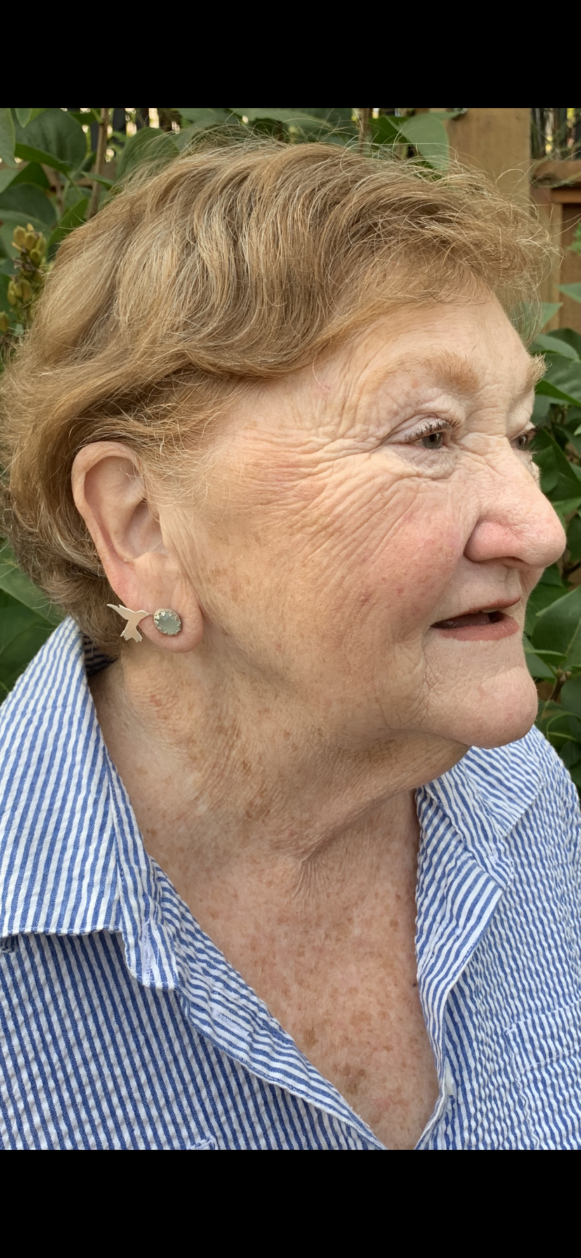 Hummingbird Earrings